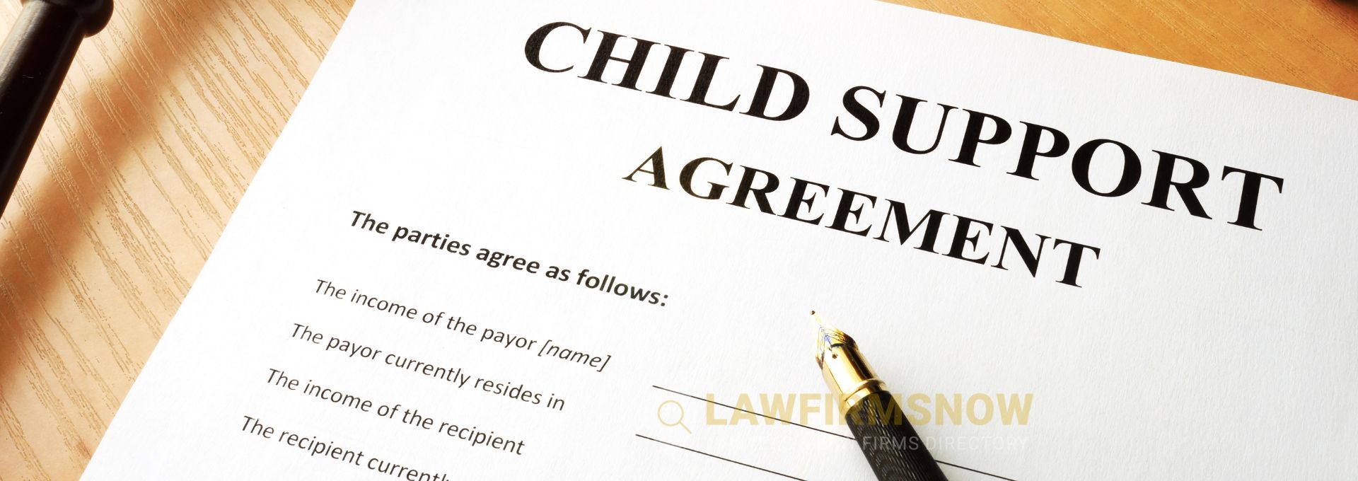 Lawyer for Child Support